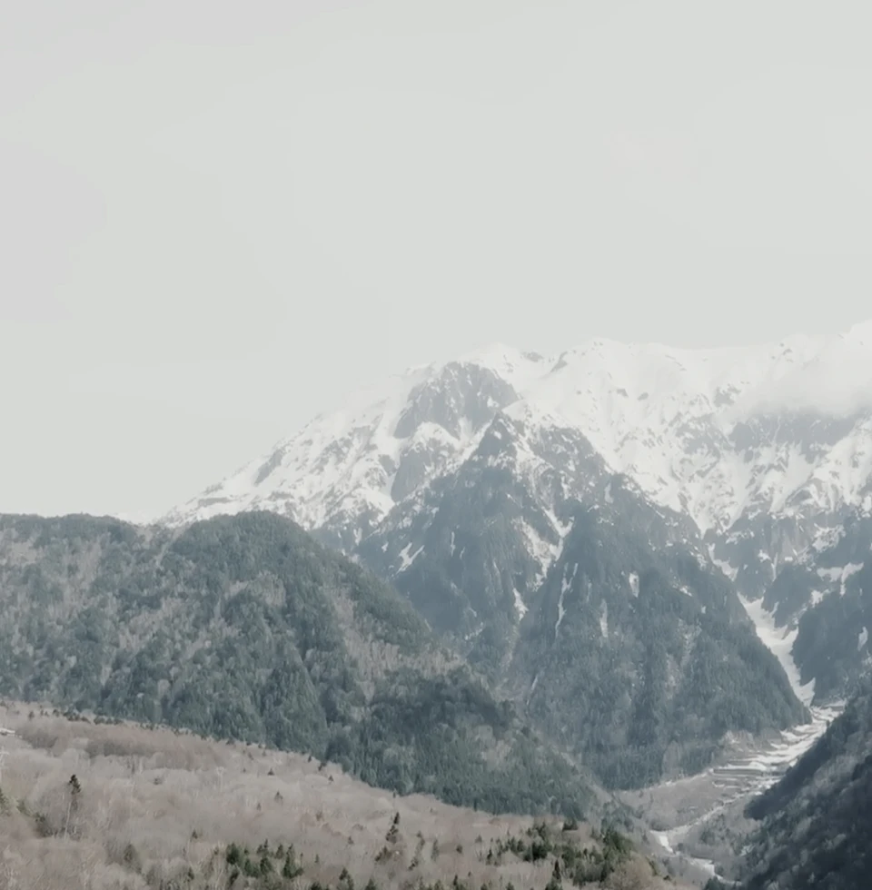 白山ジオパークラインページボタン背景