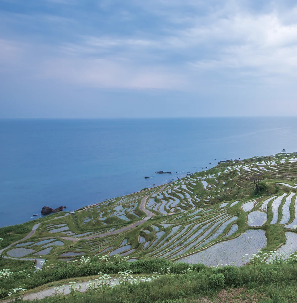 能登特急バスページボタン背景