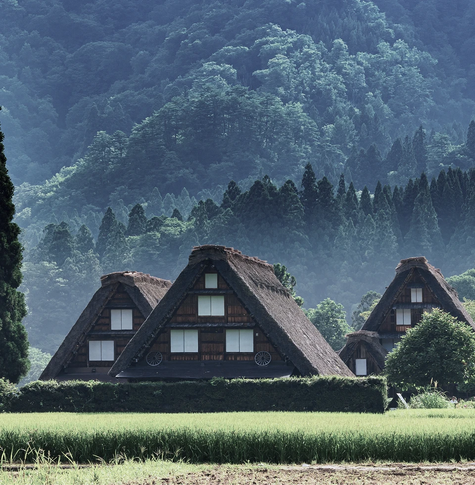 白川郷高速バスページボタン背景